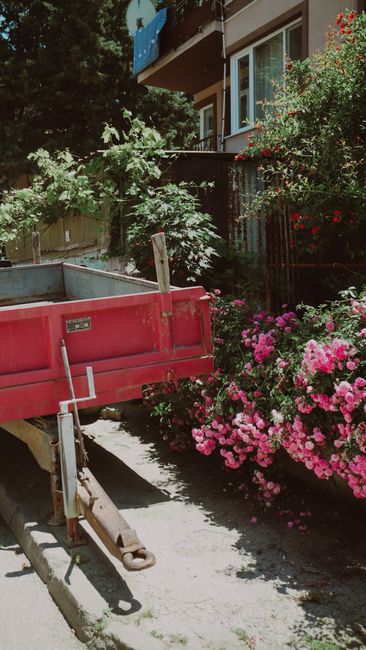 The image depicts a residential garden area situated beside a multi-story building with large sliding glass doors and windows, partially visible at the top. The garden features a variety of vibrant pi