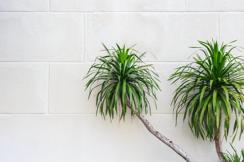Go Green with Tall-Potted Plants That Offer Shade and Seclusion
